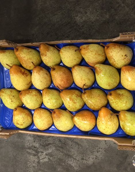 1kg poire WILLIAMS france  cat 1 cal 65/70