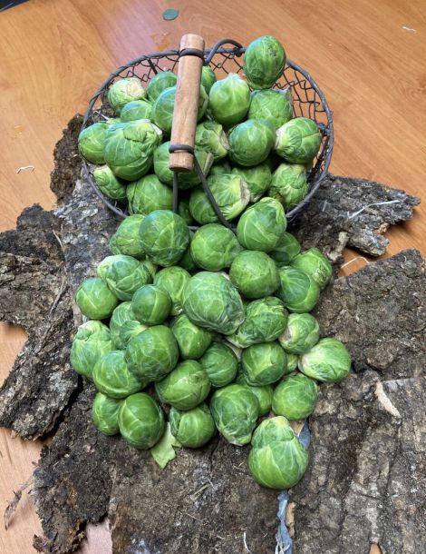 1kg de Choux de Bruxelles FRANCE CAT 1 /CAL NC