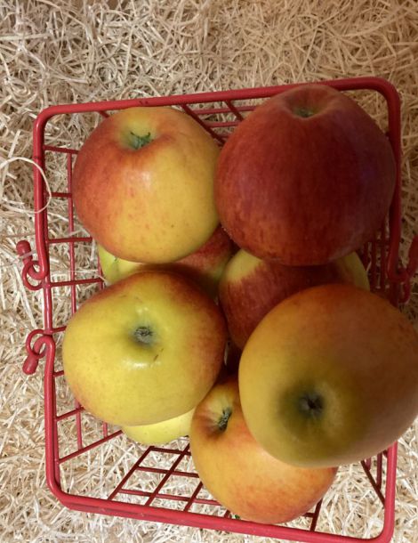 1 Colis pommes gala 8 kg environ france cat1/ cal +150