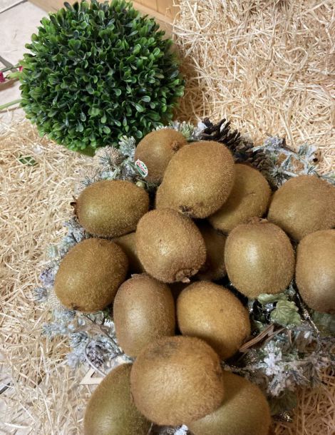 Pièce de kiwis IMPORT  cat1/ cal 33