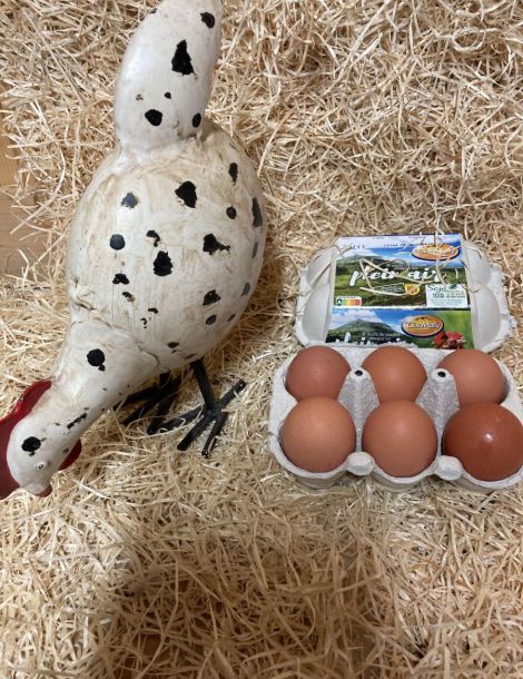 oeufs x6 auvergne france cat1 / cal x6