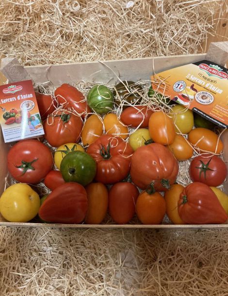 1kg environ tomates saveur d'antan france