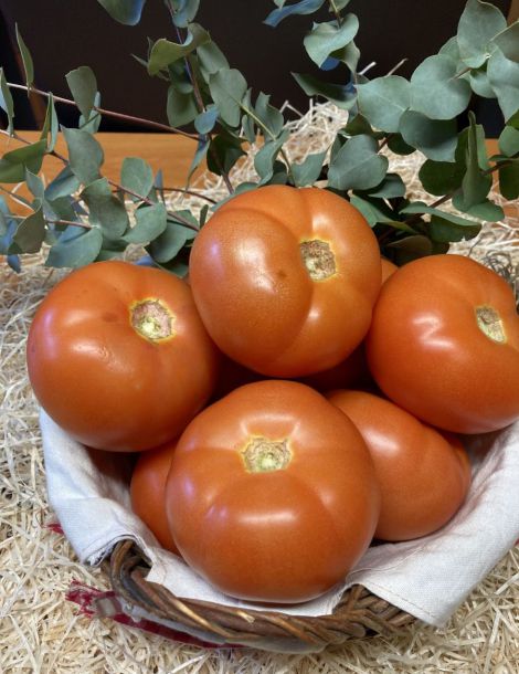 1kg environ Tomates (cal 57) ESPAGNE  cat 1 cal 57