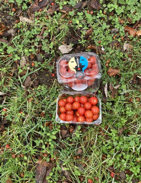 1 Tomates Cerises en barquette de 250g  import cat 1/ cal 250gr