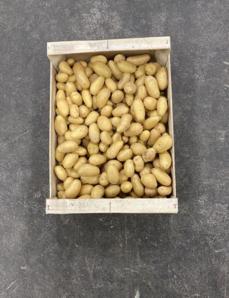1 kg environ pomme de terre GRENAILLE  NOUVELLE france cat 1/cal 20/32 mm