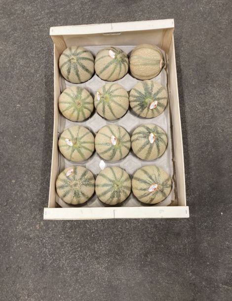 melons  MAROC cat 1  cal 12L