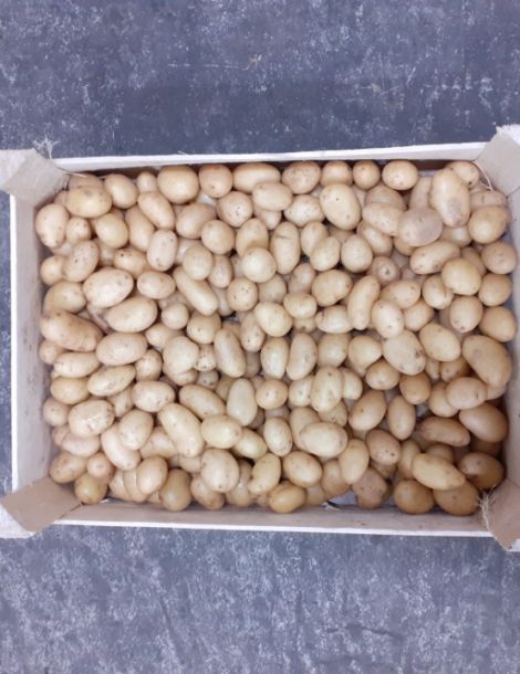 1 kg environ pomme de terre perle tourbées france