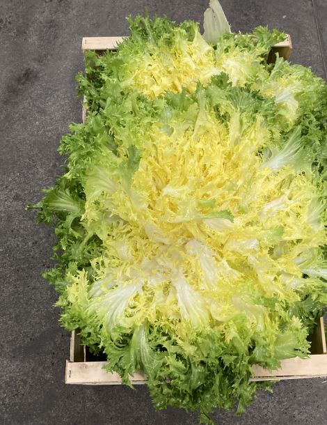salade frisee france cat 1 cal nc
