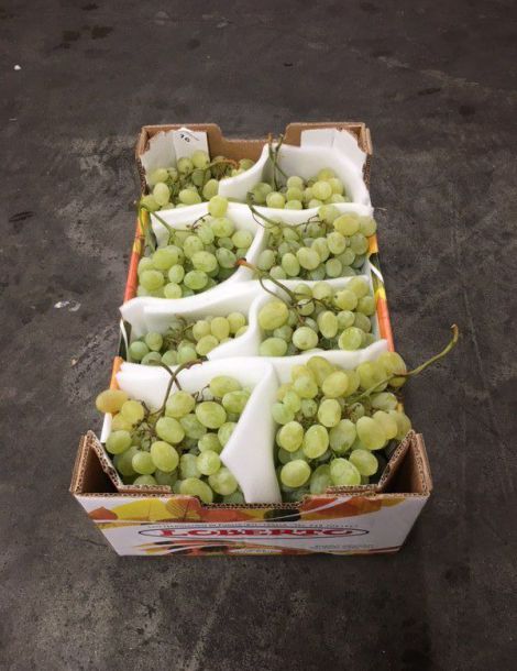 1 KG environ raisin  blanc  italie cat1 /cal nc